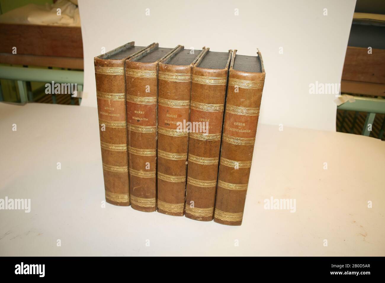 Livre des cassettes avec des tirages de diverses collections. Au dos des livres: Livre 1 Opere Thorvaldsen, livre 2 Opere di Canova, livre 3 Uomini Ilustri, livre 4 Museo Sommariva, livre 5 Opere di Thorvaldsen., bibliothèque de type toit, bois, papier, plâtre ou gesso, couleur: Brun, blanc imprimé et vert clair, forme: 5 cassettes de livres, 16,4 x (6 x) 4,5 x 25 cm, xixe siècle Banque D'Images