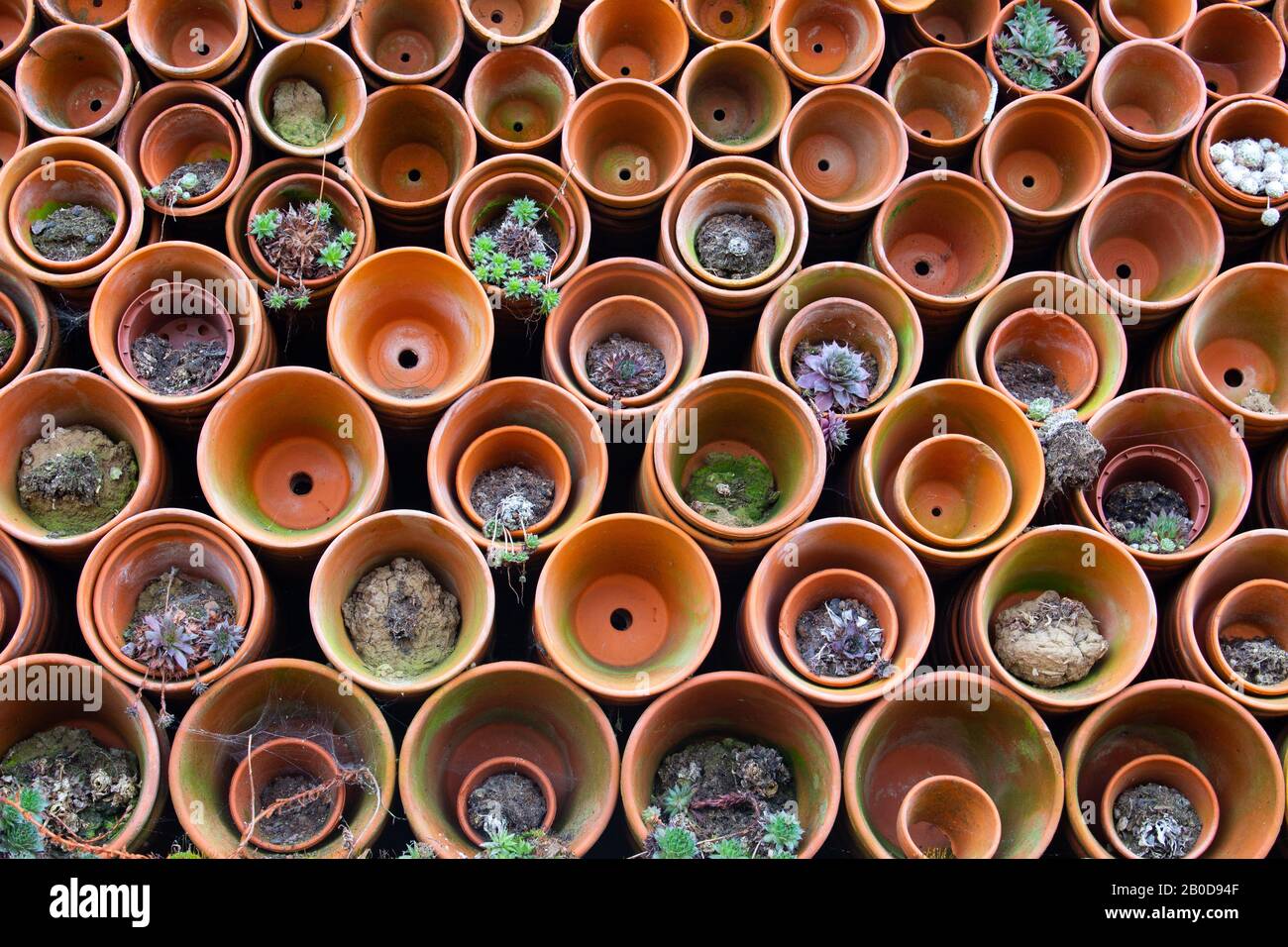 Pile de pots de fleurs en céramique d'argile sur le côté avec des plantes succulentes qui sortent de certains Banque D'Images