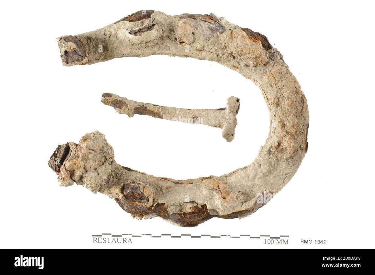 horseshoe, avec quelques clous dans les trous Banque D'Images