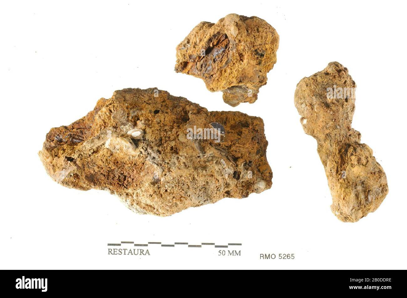 Pays-Bas Moyen âge, partie de couteau, fragment de clou, fer, 10,0 x 4,5 cm, 5,5 x 2,8 cm, x, Pays-Bas, Utrecht, Wijk bij Duurstede, Wijk bij Duurstede, Dorestad Banque D'Images