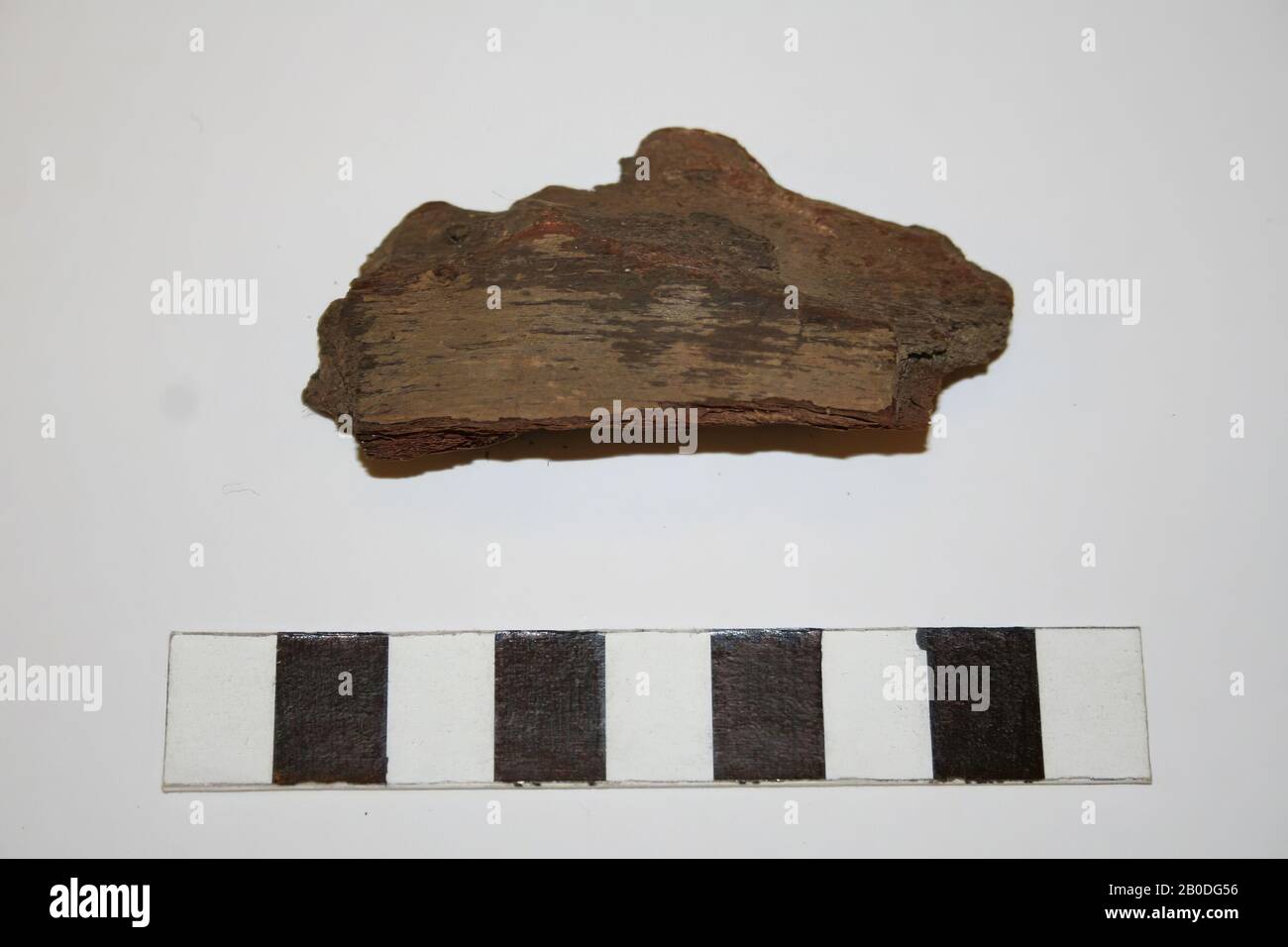 Fragment, bio, bois, 6,5 x 3,2 cm, Pays-Bas, Limbourg, Venlo, Venlo Banque D'Images