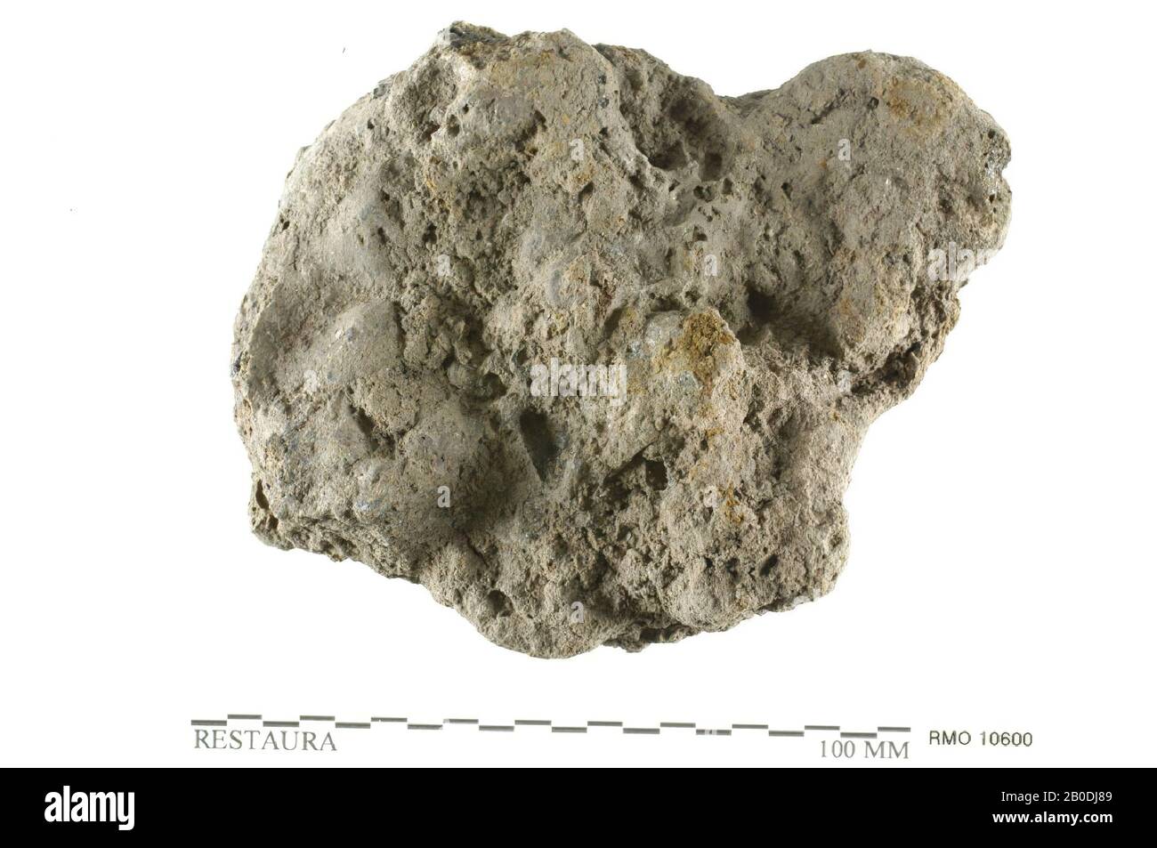 Escargot, escargot, escargot, 10,5 x 8,5 cm, x, Pays-Bas, Utrecht, Wijk bij Duurstede, Wijk bij Duurstede, Dorestad Banque D'Images