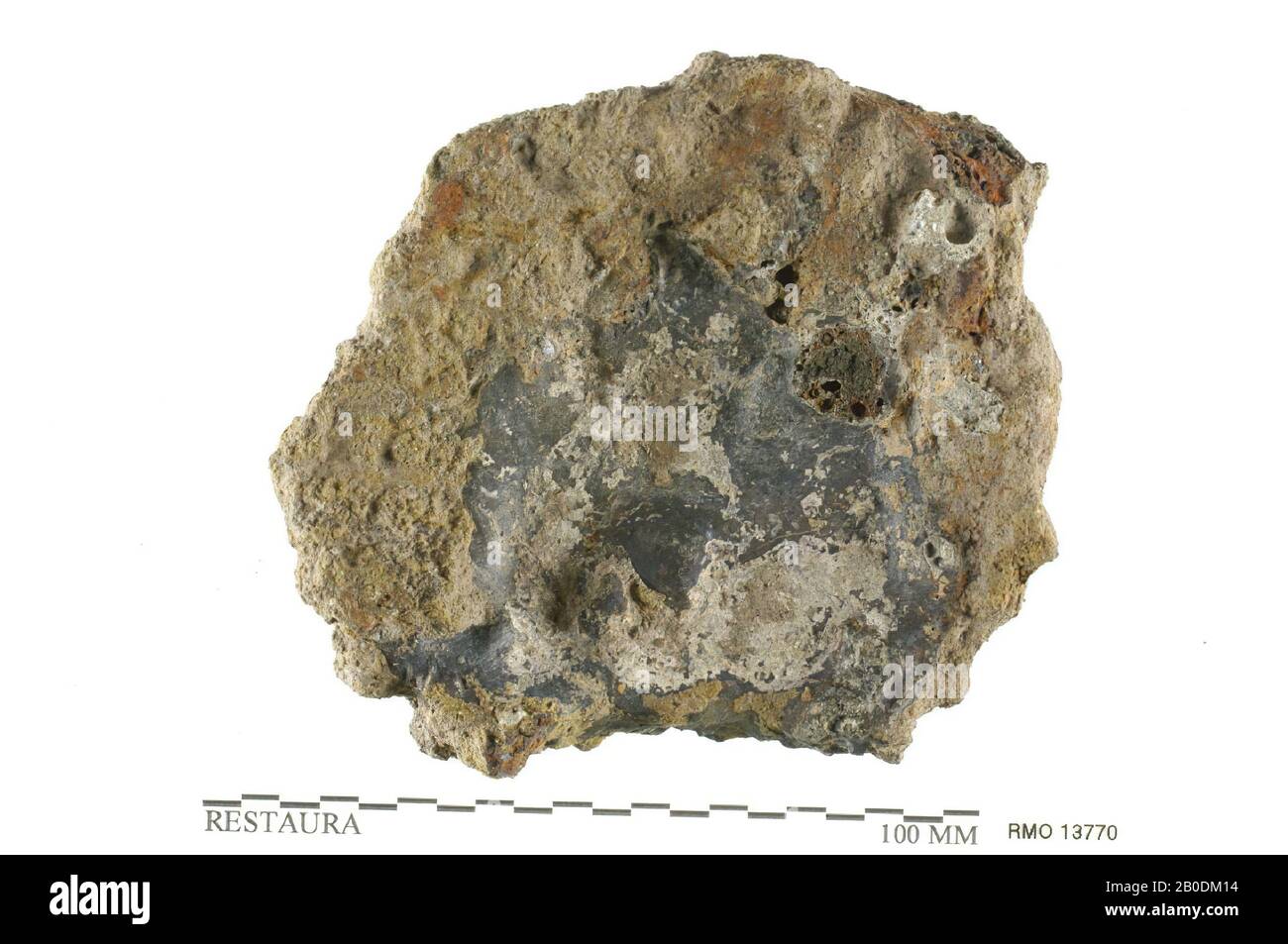 Pays-Bas Moyen âge, escargot, escargot, 10,5 x 9,0 cm, x, Pays-Bas, Utrecht, Wijk bij Duurstede, Wijk bij Duurstede, Dorestad Banque D'Images