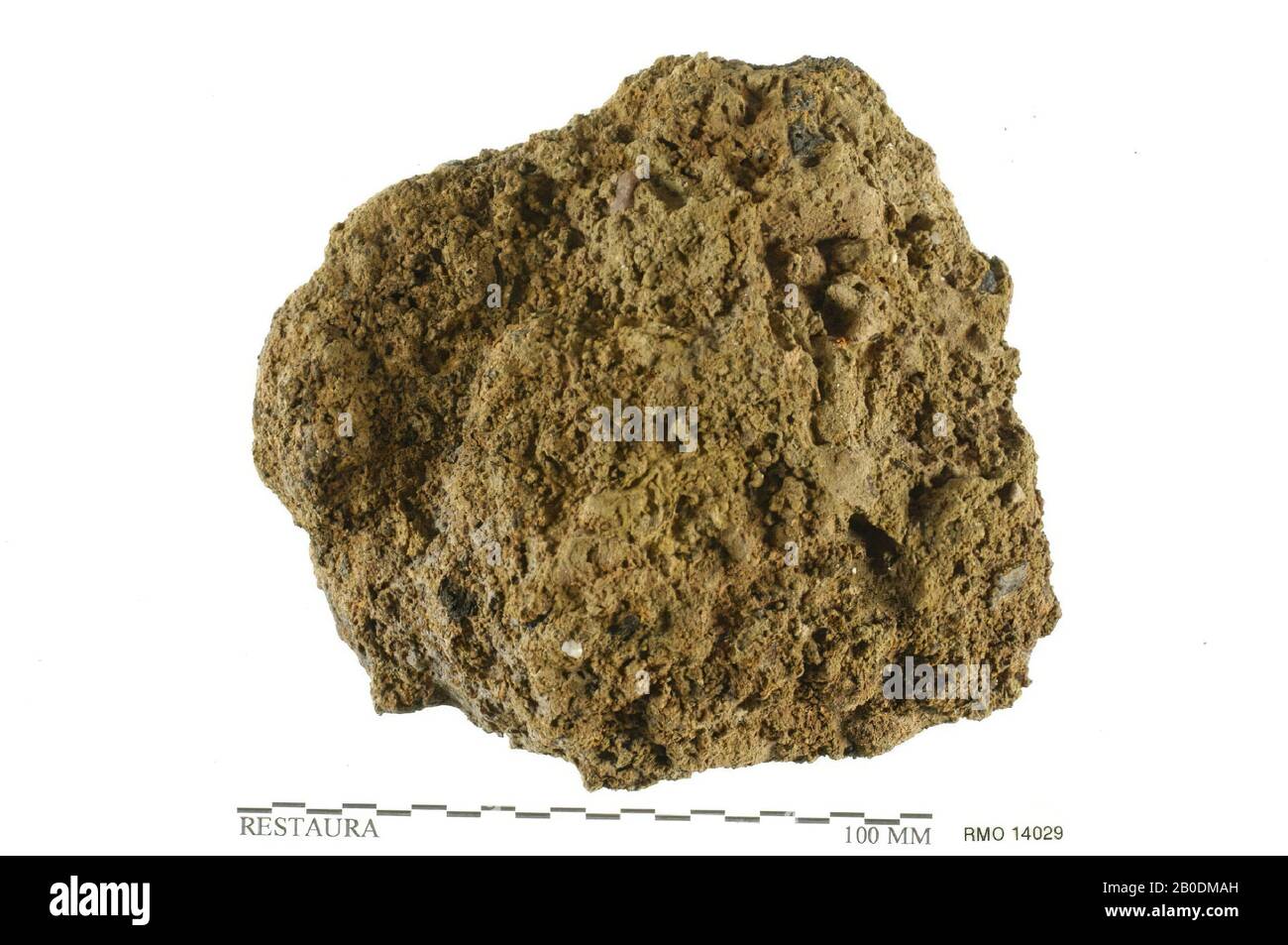 Pays-Bas Moyen âge, escargot, escargot, 10,0 x 9,5 cm, x, Pays-Bas, Utrecht, Wijk bij Duurstede, Wijk bij Duurstede, Dorestad Banque D'Images