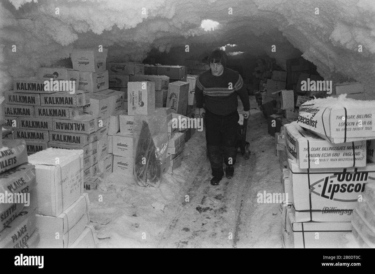 9/8/8 Billingsgate Fish Market 1981 les magasins de poissons congelés sous le marché, le pergélisol depuis plus de 50 ans Banque D'Images