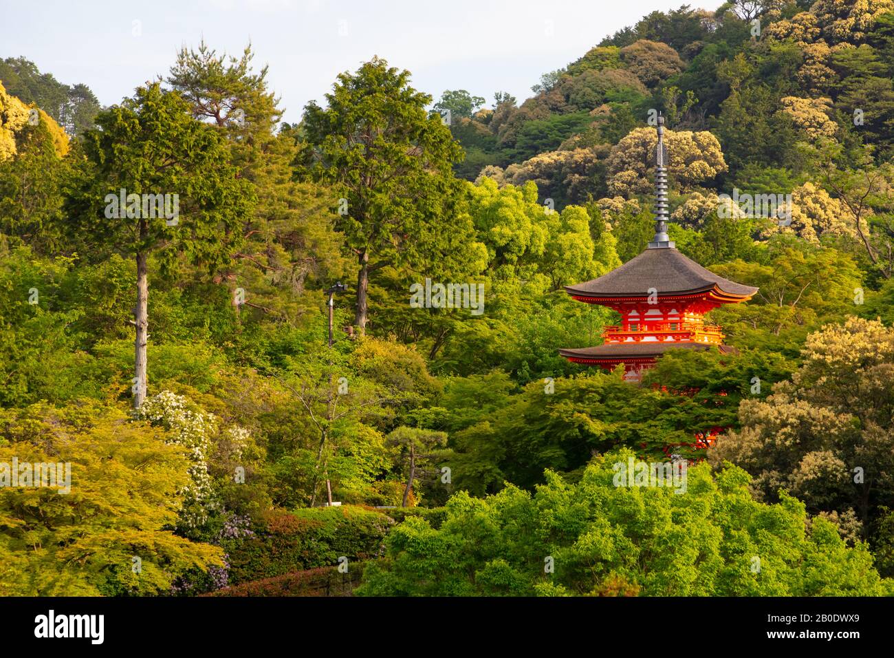 Le Temple Kiyomizu-dera Kyoto au Japon Banque D'Images
