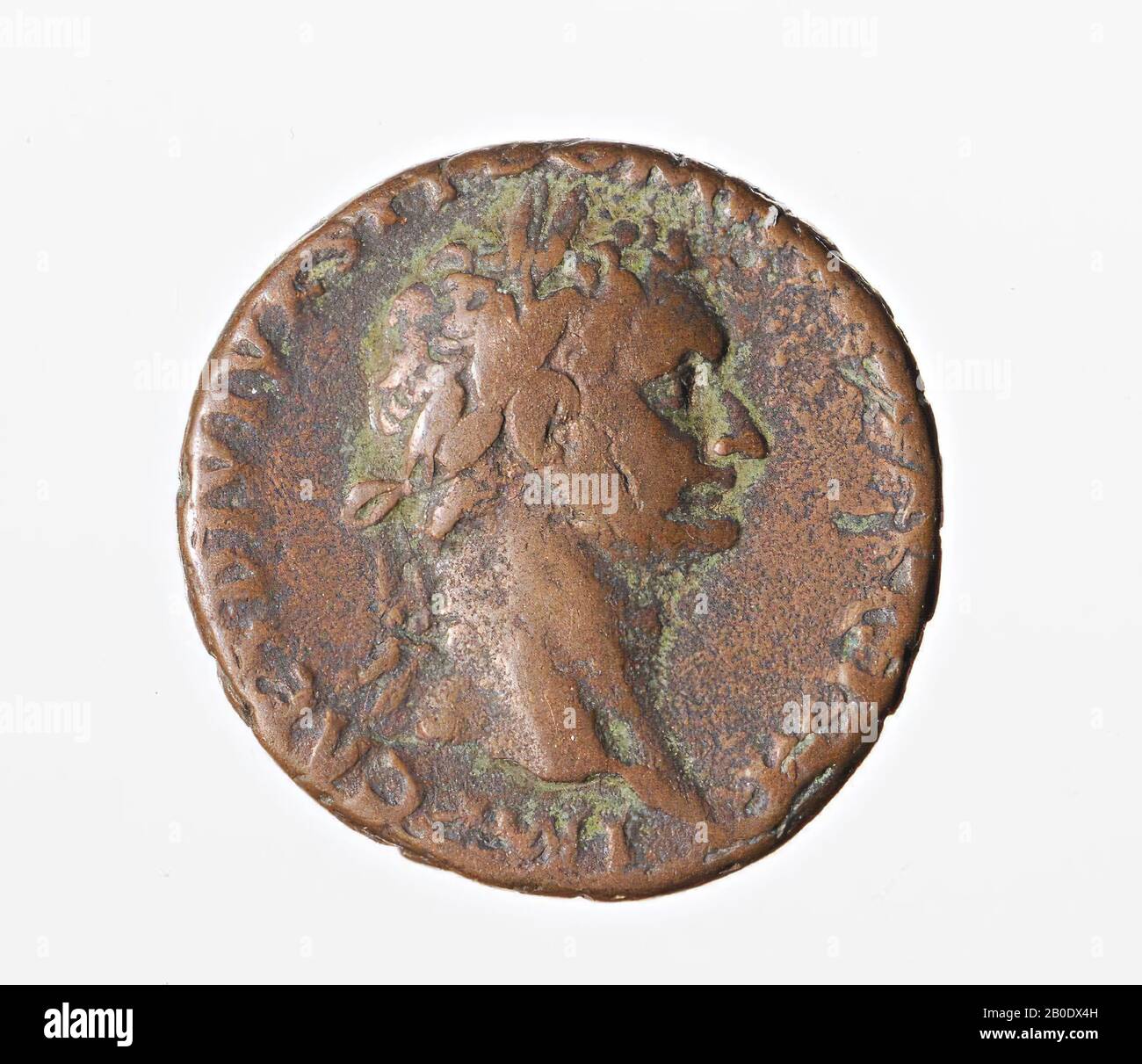Pays-Bas période romaine, pièce de monnaie, frêne, Domitian, métal, cuivre, Diam., 29 mm, poids, 7,59 gr, roman 82, Pays-Bas, Utrecht, Bunnik, Vechten Banque D'Images