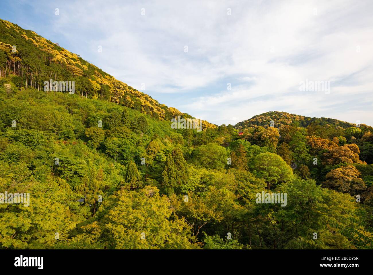 Le Temple Kiyomizu-dera Kyoto au Japon Banque D'Images
