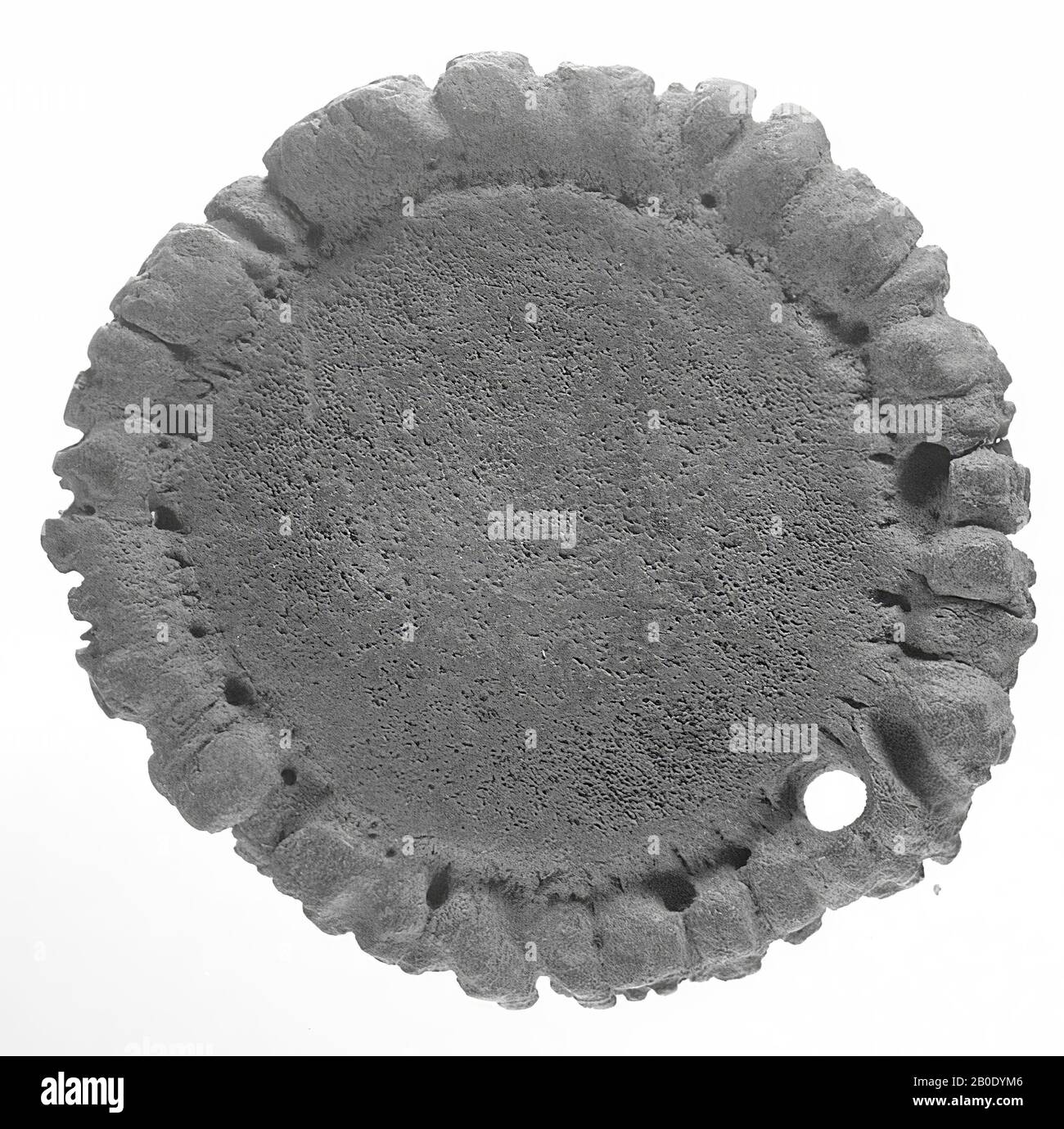 Pays-Bas époque romaine, pendentif, organique, os, romain 15-250, Pays-Bas, Utrecht, Bunnik, Vechten Banque D'Images