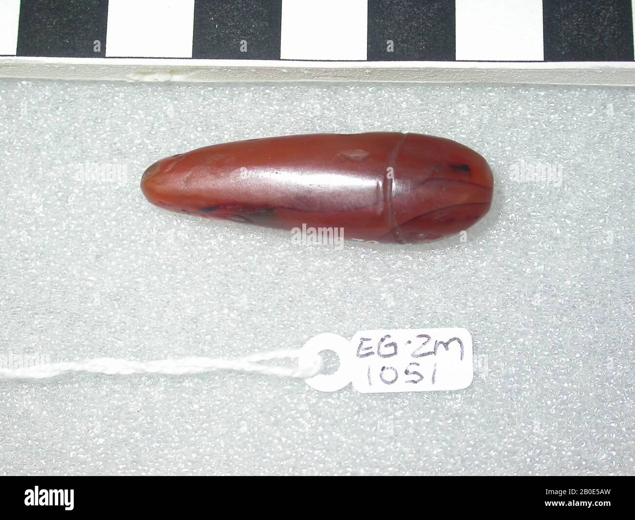 Tête de serpent, tête et partie avant du corps d'un serpent. Le corps n'est pas fourni avec des dessins ou d'autres détails, la tête est indiquée par une ligne autour de la tête ronde. Les yeux ne sont pas spécifiés. Il y a un certain nombre de (petits) dommages sous forme de cratères autour de l'objet avec une concentration à l'extrémité ronde., Amulet, animal, cornealine, longueur: 4 cm, Egypte Banque D'Images