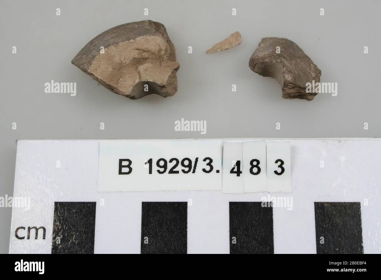 Araignée en faïence, brisée en 3 morceaux, pierre d'araignée, faïence, l: 2,5 cm, Israël Banque D'Images