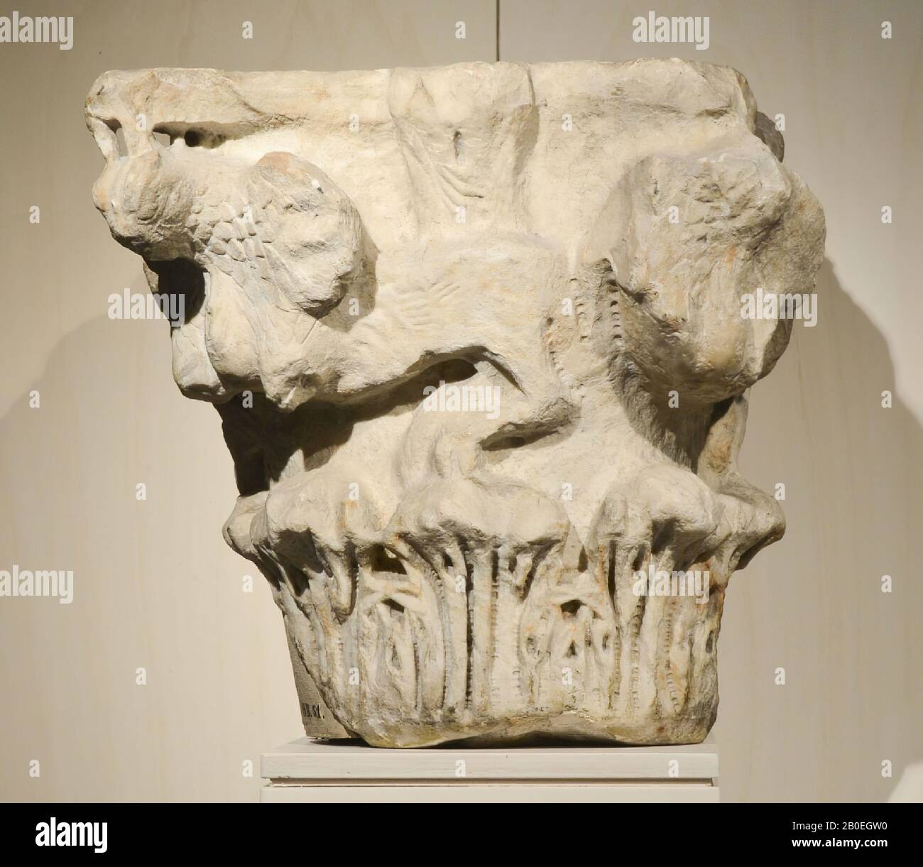 NB ! Physiquement mauvais numéroté (sur une ancienne base en bois): HB 51, capitale, fragment, marbre, 37 cm, post-romain, Tunisie Banque D'Images