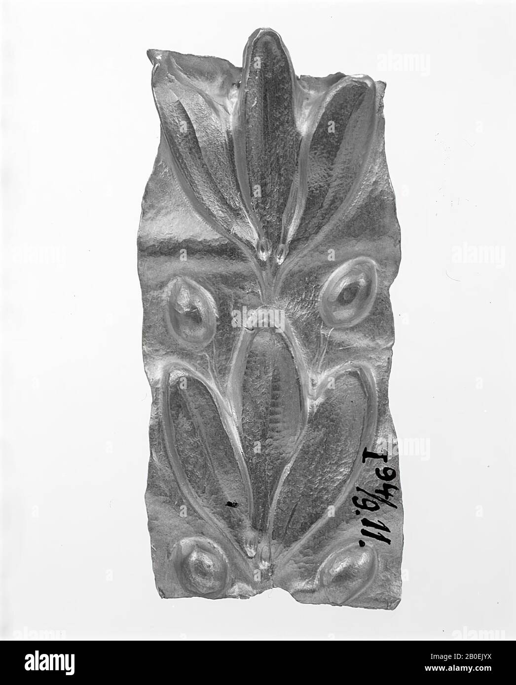 couronne d'laurel, fragment, or, 2 x 4,9 cm, -500 Banque D'Images