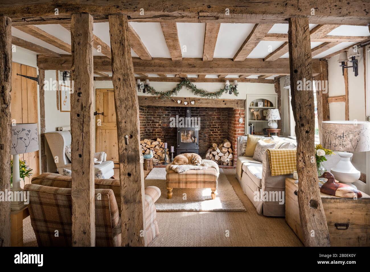 Bordure Terrier sur pouf avec canapé-lit dans la Villa Nova Cambay. Banque D'Images