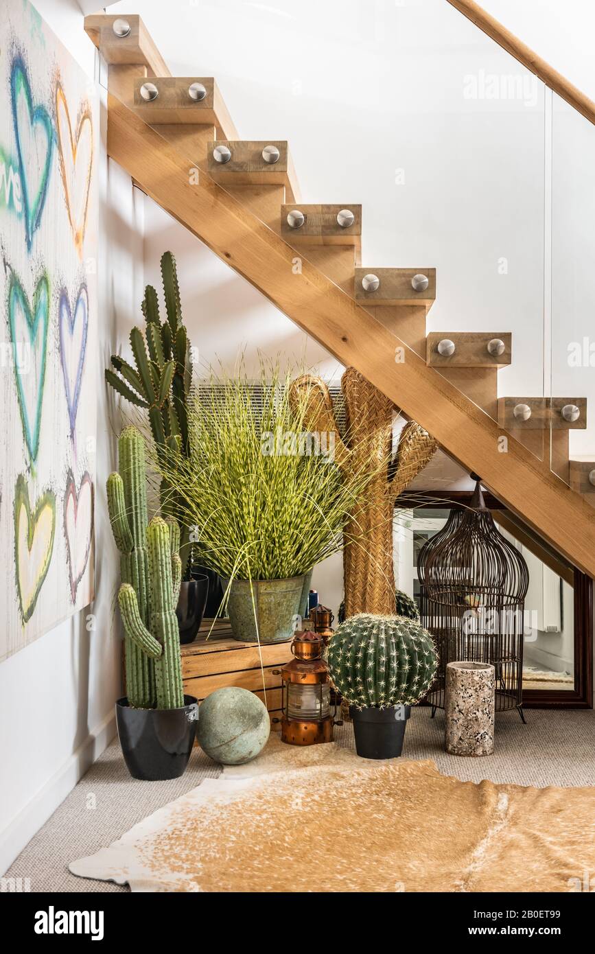 Escalier en chêne et en verre avec cactus dans les années 1960 rénovation côtière Banque D'Images