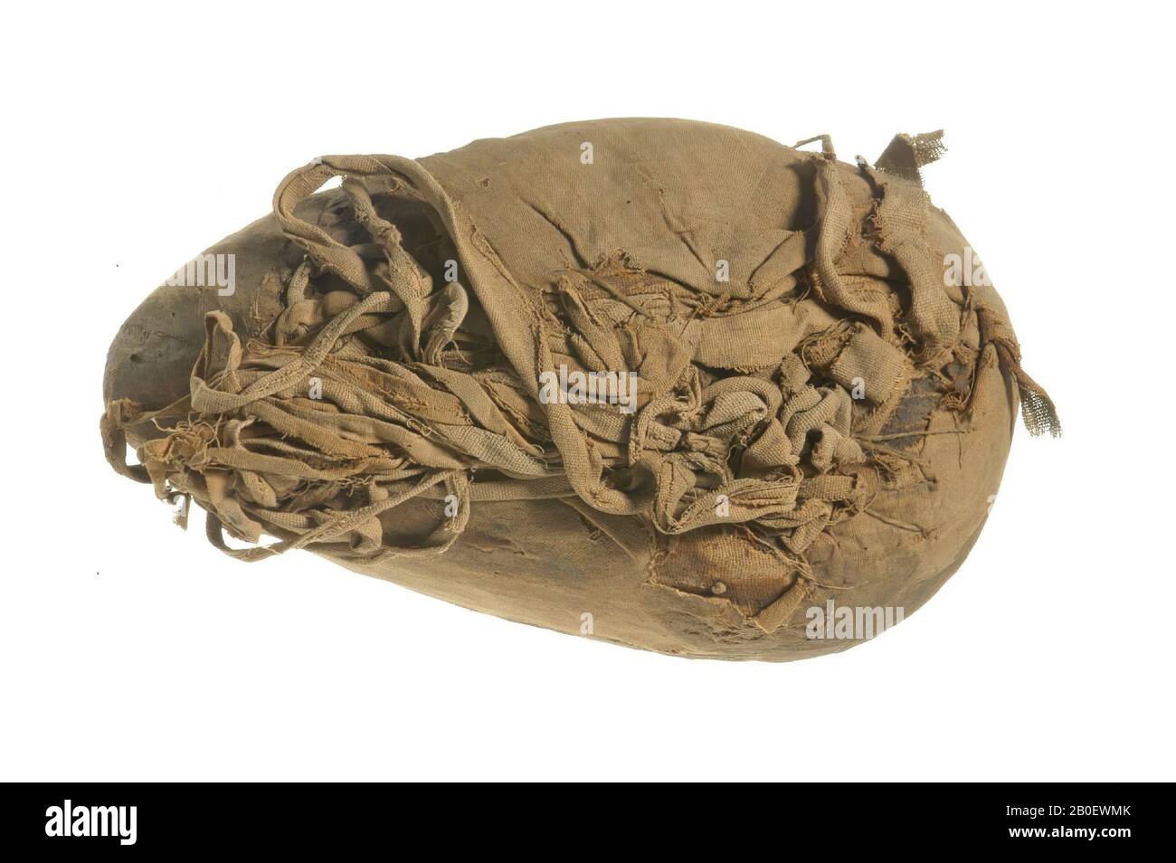 Chien, tête, La momie a été enveloppée dans une feuille de lin moyen-fin (tissage de tabby à déformation, environ 20 x 32 fils Banque D'Images