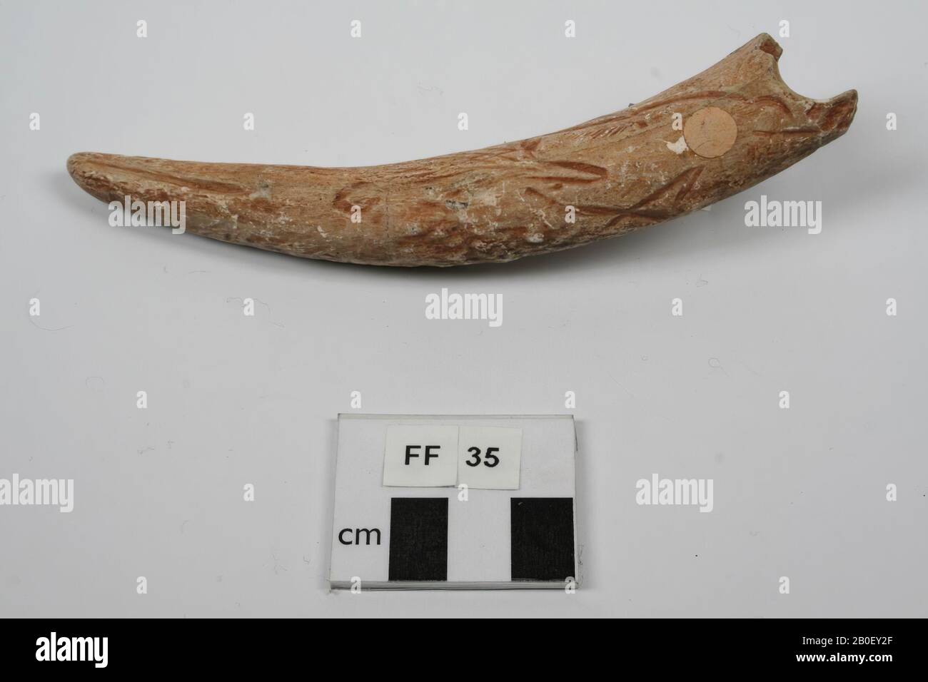 Plâtre moulé d'un morceau d'os sculpté avec ornementation, coulage, os sculpté, plâtre, 14,5 x 3 cm, préhistoire, France, inconnu, inconnu, Dordogne Banque D'Images