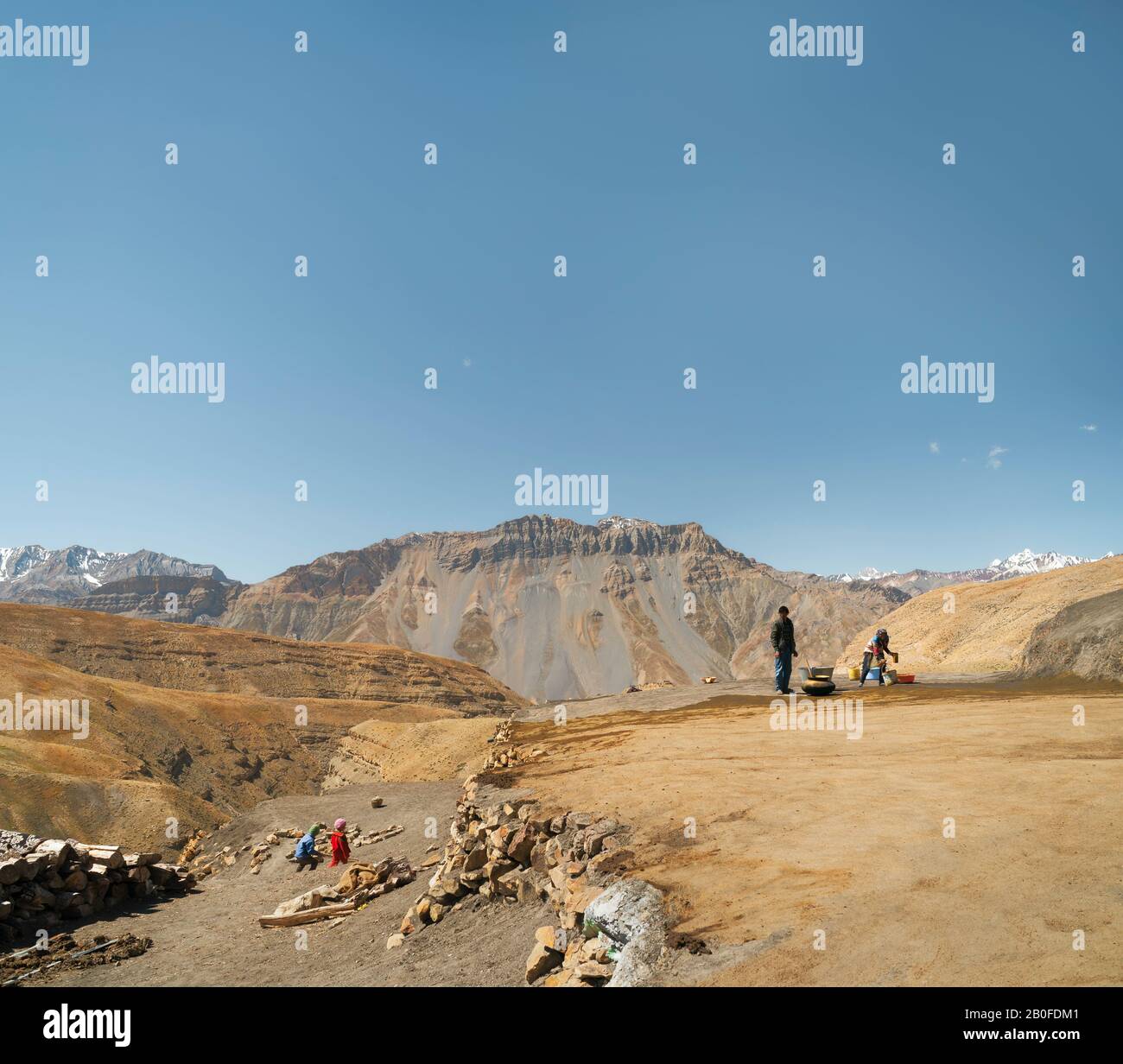 Les agriculteurs épandent du fumier de vache dans un champ en préparation pour une récolte du grain dans le Spiti Valley et de l'Himalaya en été dans Komic, Himachal Pradesh, Inde. Banque D'Images