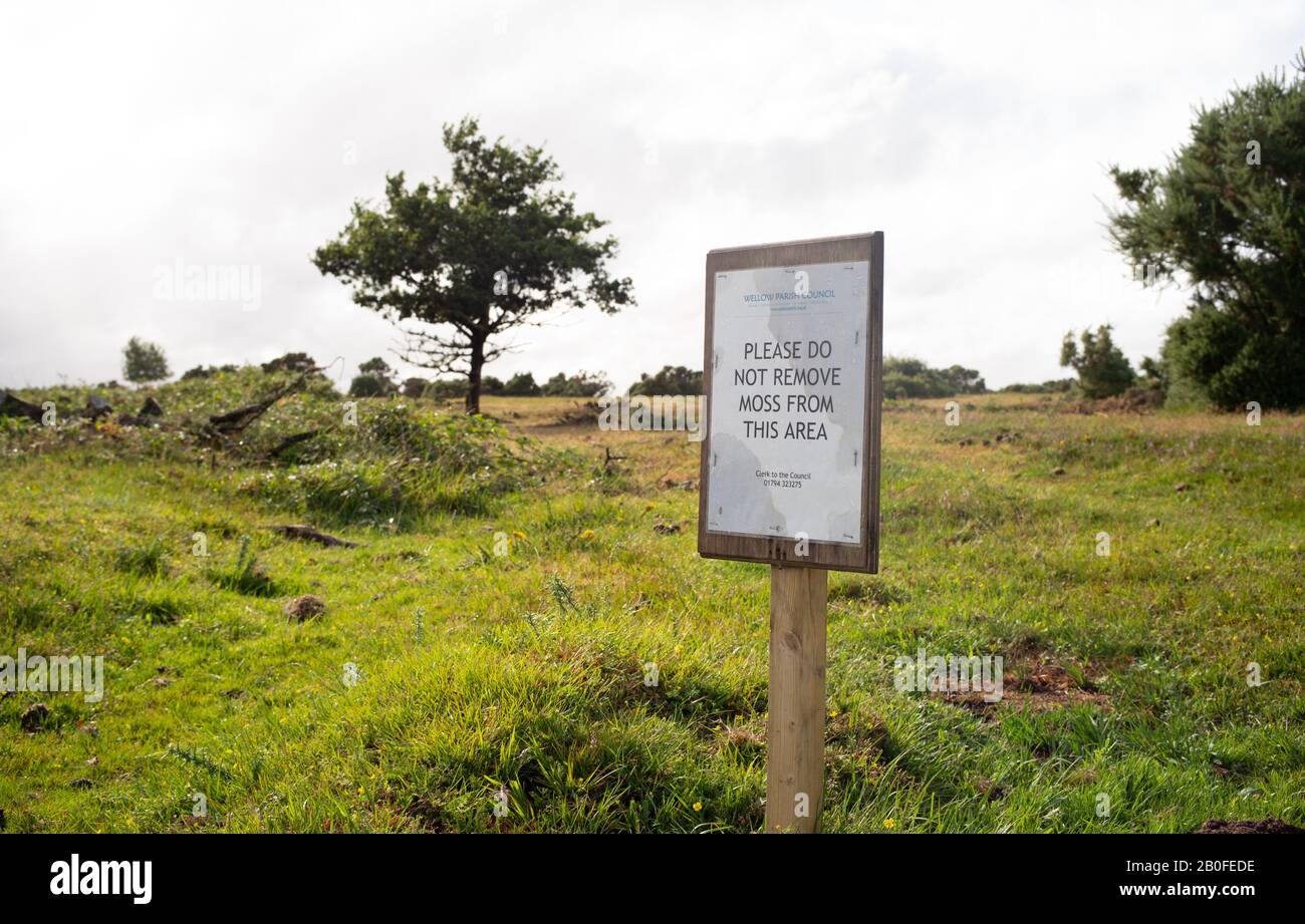 Un panneau d'avertissement pour ne pas enlever Moss de l'endroit de beauté West Wlow Common dans Hampshire Angleterre. Banque D'Images