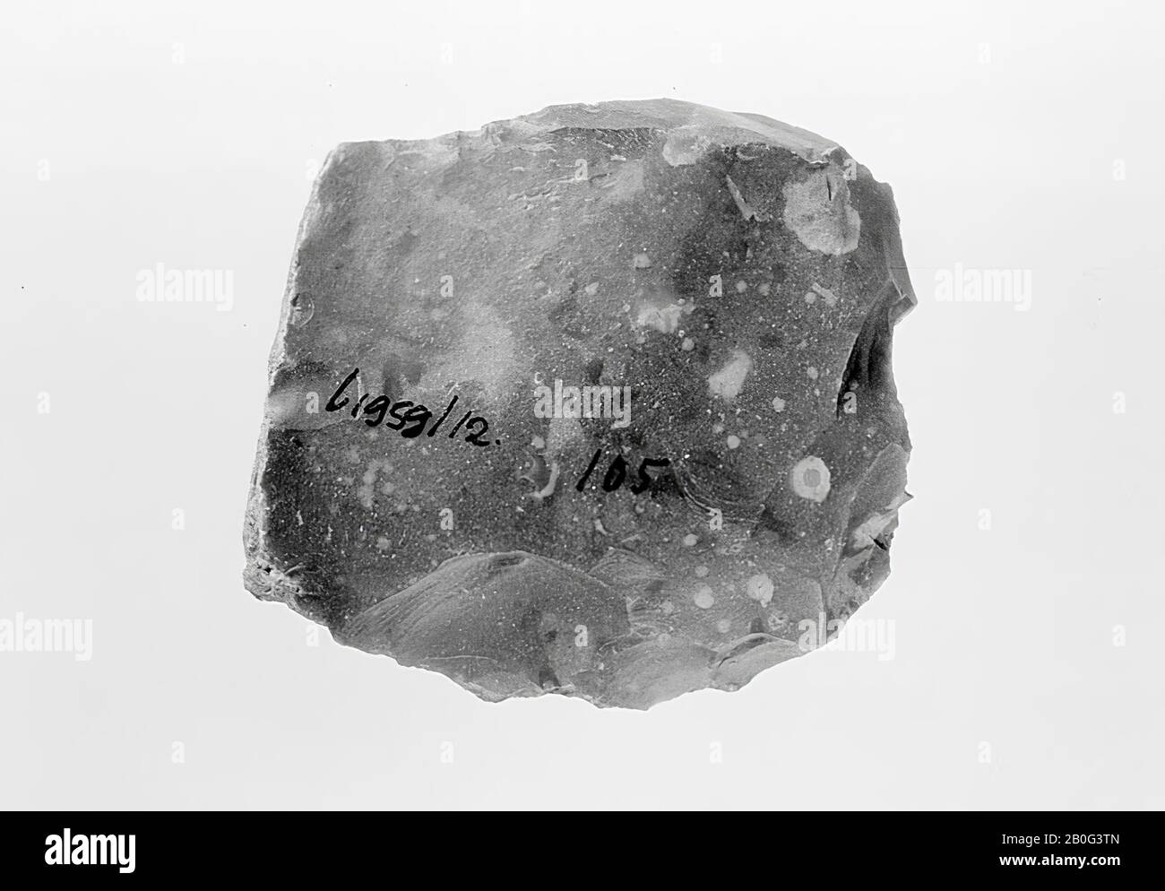 flint stone spa avec retouche, grattoir, pierre, flint, préhistoire -5400 Banque D'Images