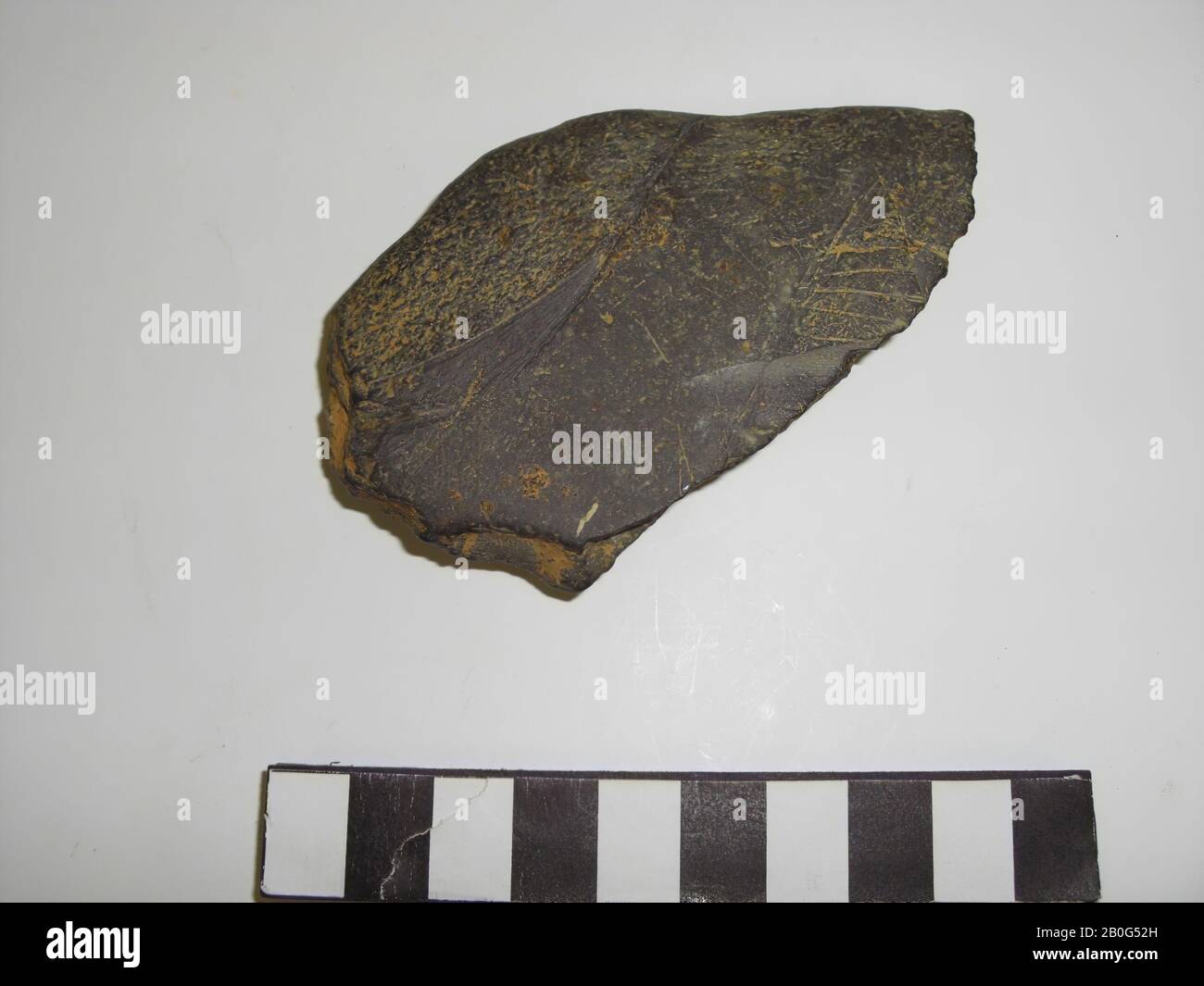 Pierre, pierre, 9 x 5,5 cm, préhistoire 10000 BC, Pays-Bas, Limbourg, Maasgouw, Linne Banque D'Images