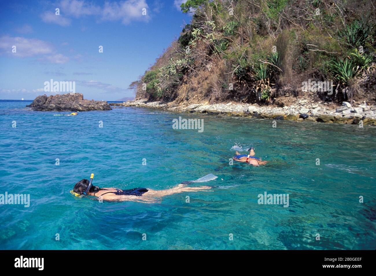 ÎLE VIRGIN DES ÉTATS-UNIS, ST.JOHNS, FRANCIS BAY, PLONGÉE AVEC TUBA Banque D'Images
