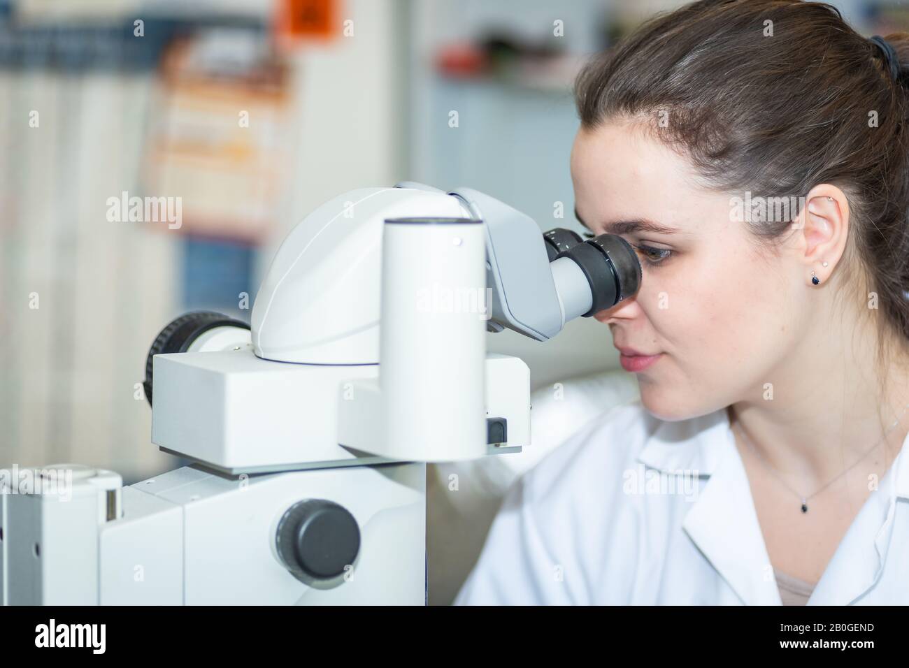 Scientifique Féminin Travaillant Dans Le Stock De Laboratoire Photo Français, Microscope, Laboratoire, Santé Et Médecine, Scientifique Banque D'Images