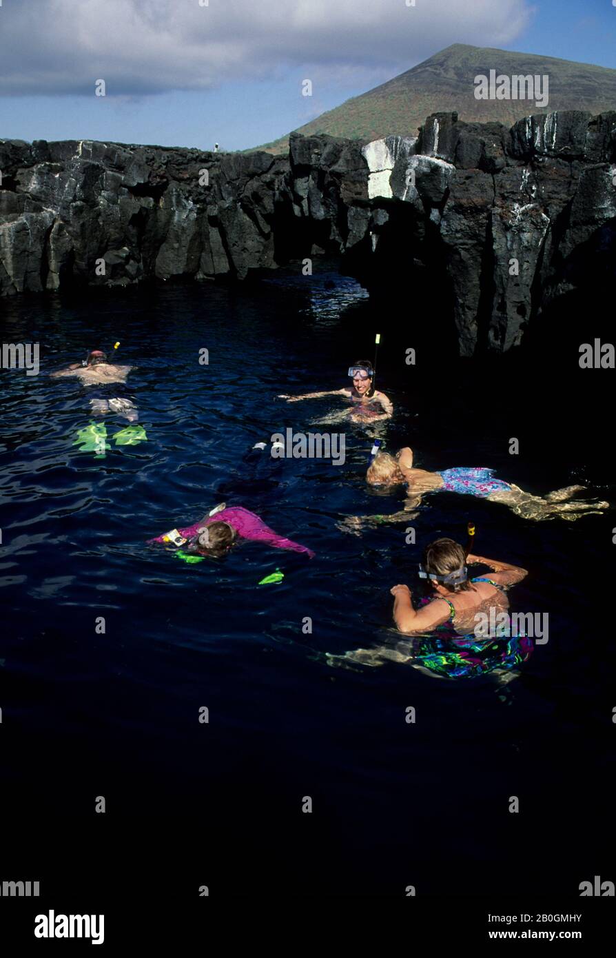 EQUATEUR, ILES GALAPAGOS, ILE JAMES (SANTIAGO), TOURISTES NAGEANT AVEC LES PHOQUES À FOURRURE DE GALAPAGOS Banque D'Images
