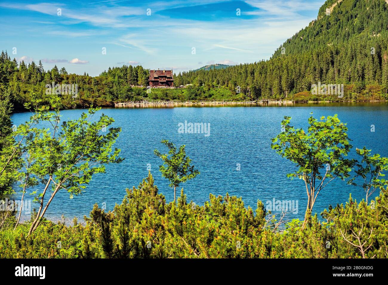 Vue panoramique sur le lac de montagne Morskie Oko entourant la forêt de mélèze, de pins et d'épicéa avec la maison de refuge Schronisko przy Morskim Oku en arrière-plan Banque D'Images