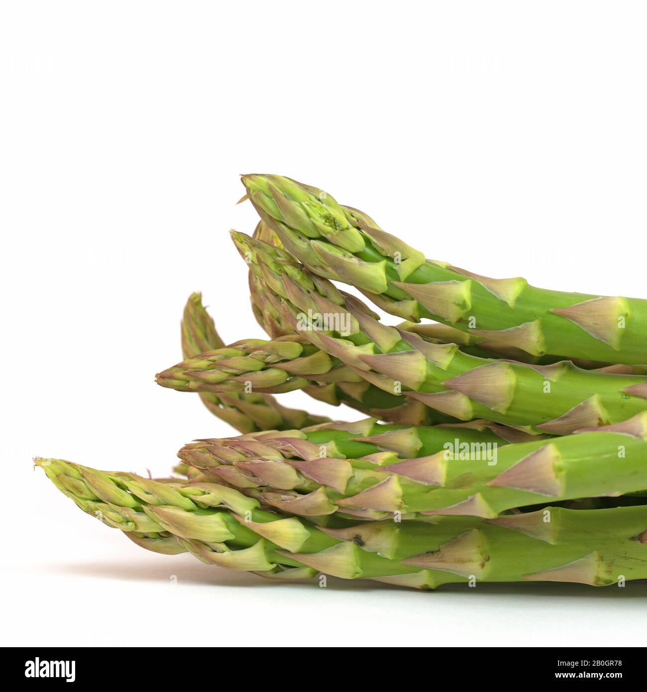 Asperges fraîches sur fond blanc Banque D'Images