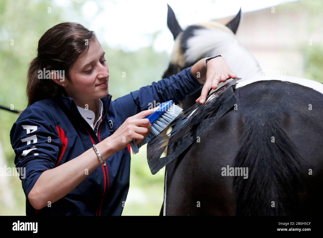 22.06.2019, Bruemmerhof, Basse-Saxe, Allemagne - une femme brosse un motif losange sur les quartiers arrière de son cheval à l'aide d'un pochoir en plastique. 00S190622 Banque D'Images