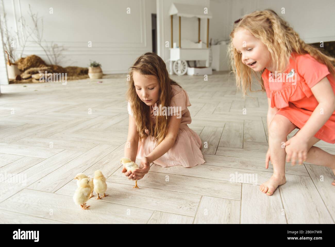 Filles jouant avec des canards pour Pâques Banque D'Images