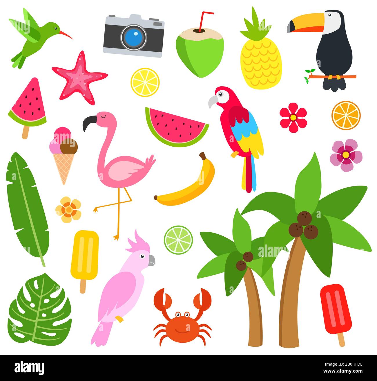 animaux tropicaux, choses et fleurs Illustration de Vecteur