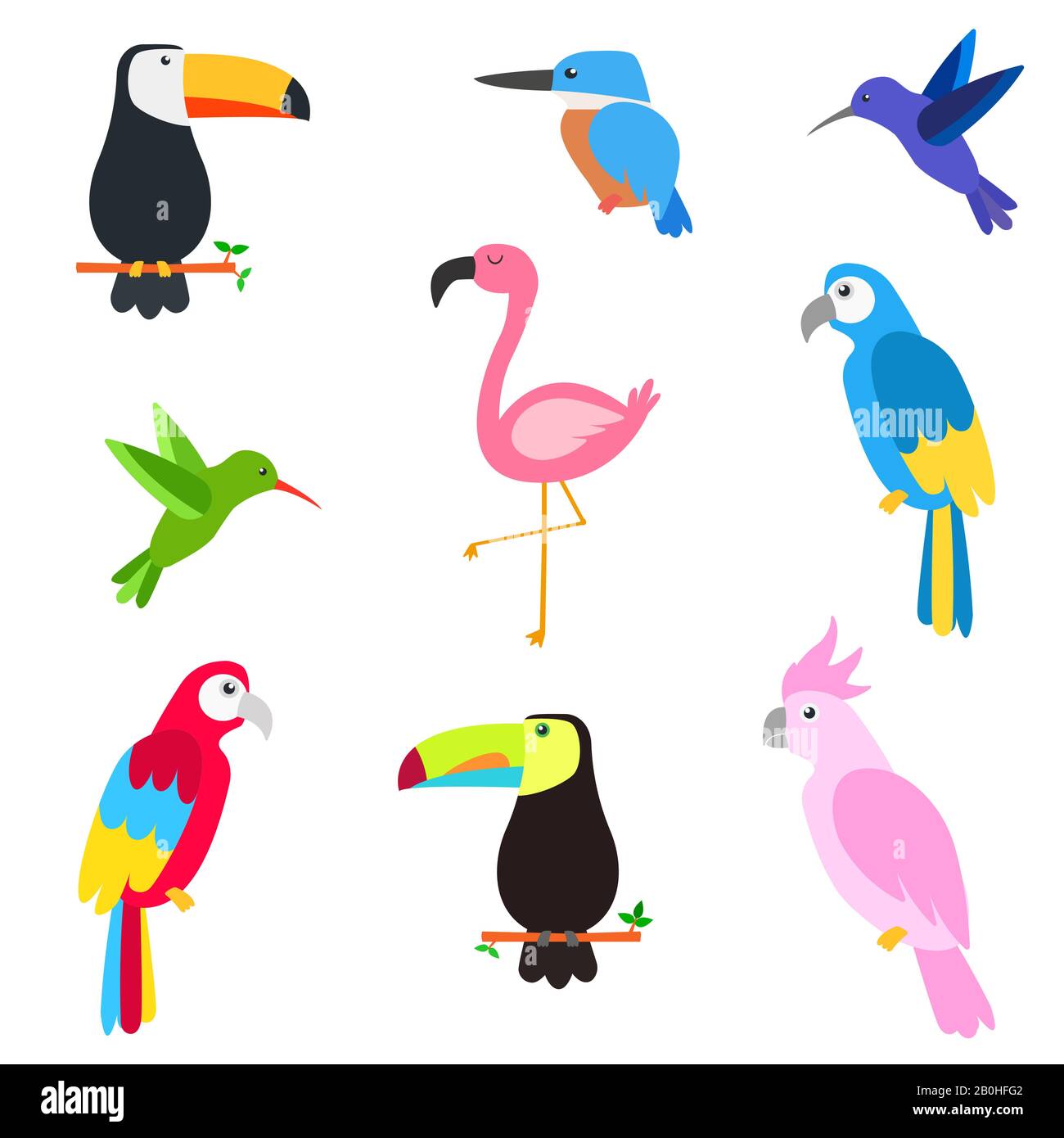 collection d'oiseaux tropicaux Illustration de Vecteur