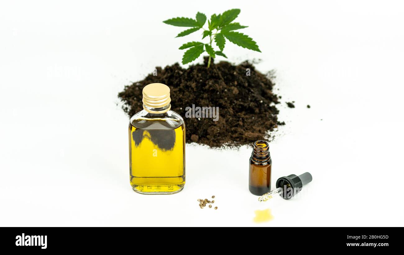 Gros plan de l'huile de chanvre et des graines de cannabis sur fond blanc. Huile essentielle à base de marijuana médicinale. Concept d'utilisation du cannabis dans l'industrie alimentaire A Banque D'Images