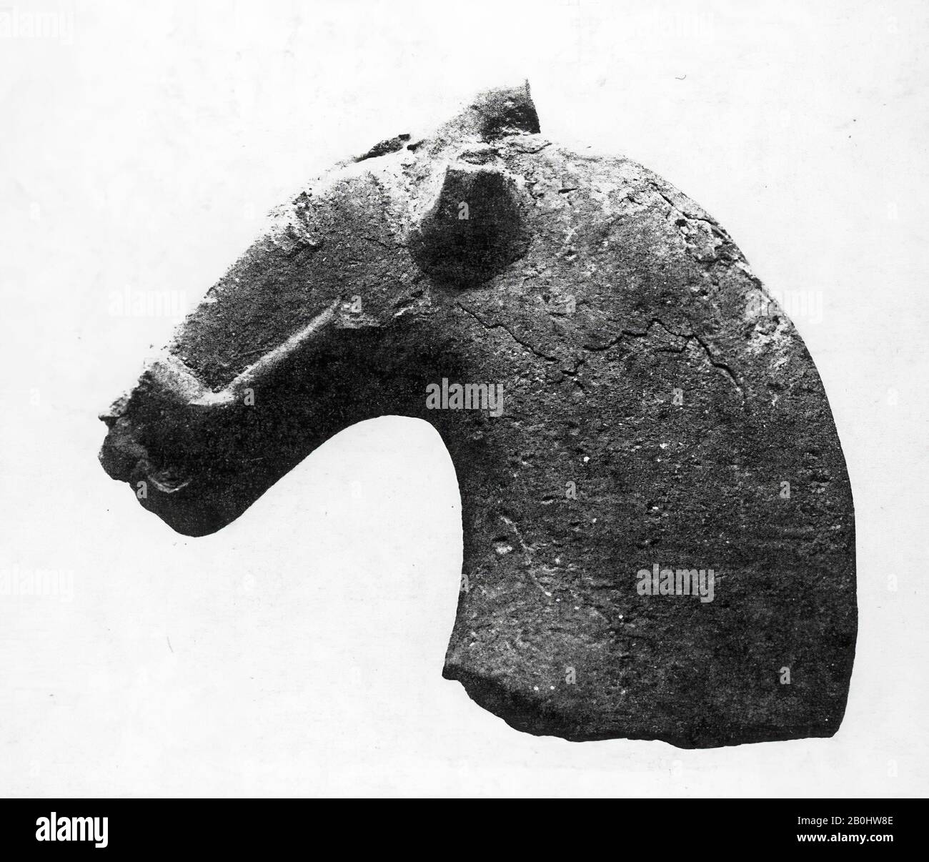 Fragment d'une tête de cheval, Inde, 1ère–5ème siècle, Inde, Terre Cuite, 2 1/2 x 3 po. (6,3 x 7,6 cm), Sculpture Banque D'Images