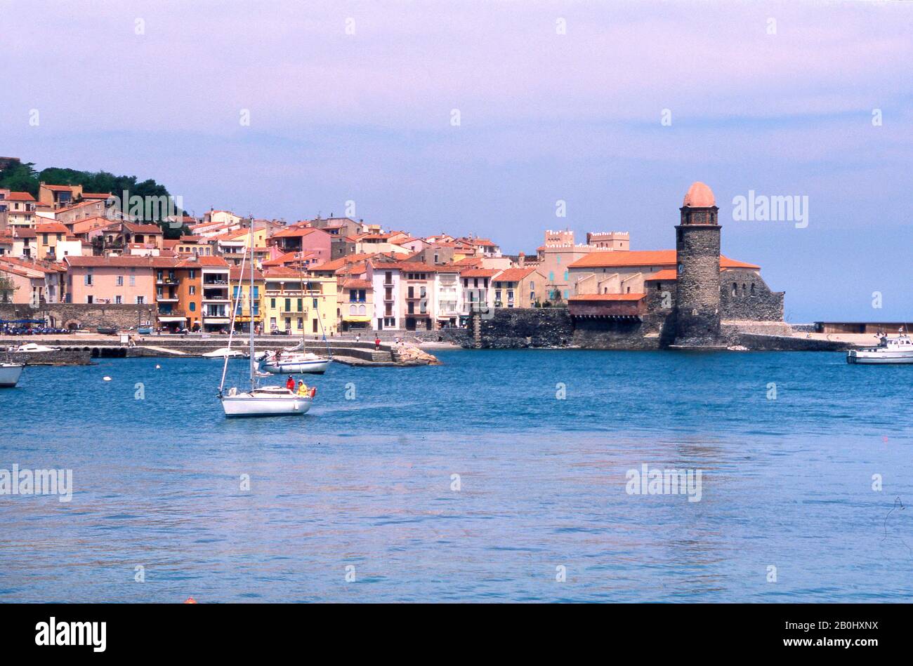 Port De Collioure , Pyrénées Orientales, Occitanie, France Banque D'Images