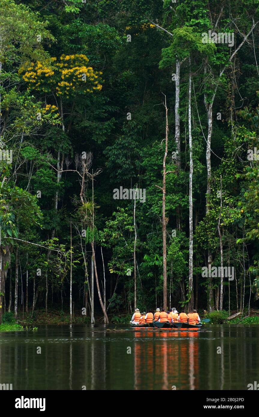 PÉROU, BASSIN AMAZONIEN, RÉGION DE LA RIVIÈRE MARANON, TOURISTES EN BATEAUX EXPLORANT LA FORÊT TROPICALE Banque D'Images