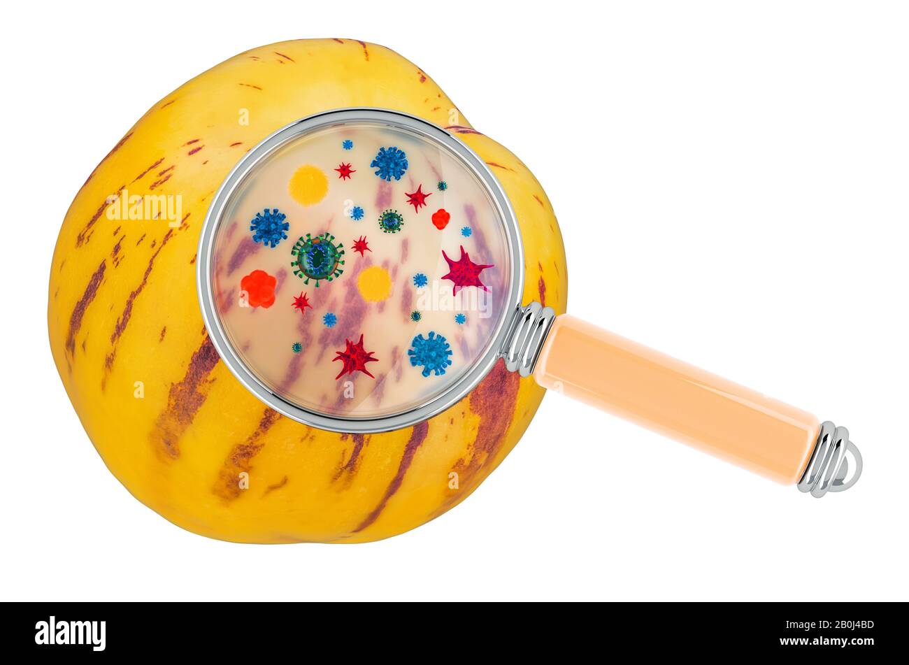 Pepino avec germes, microbes ou virus sous loupe, rendu tridimensionnel isolé sur fond blanc Banque D'Images