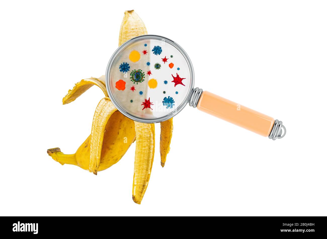 Banane aux germes, microbes ou virus sous loupe, rendu tridimensionnel isolé sur fond blanc Banque D'Images
