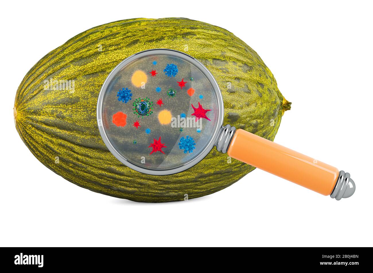 Melon de Noël avec germes, microbes ou virus sous loupe, rendu tridimensionnel isolé sur fond blanc Banque D'Images