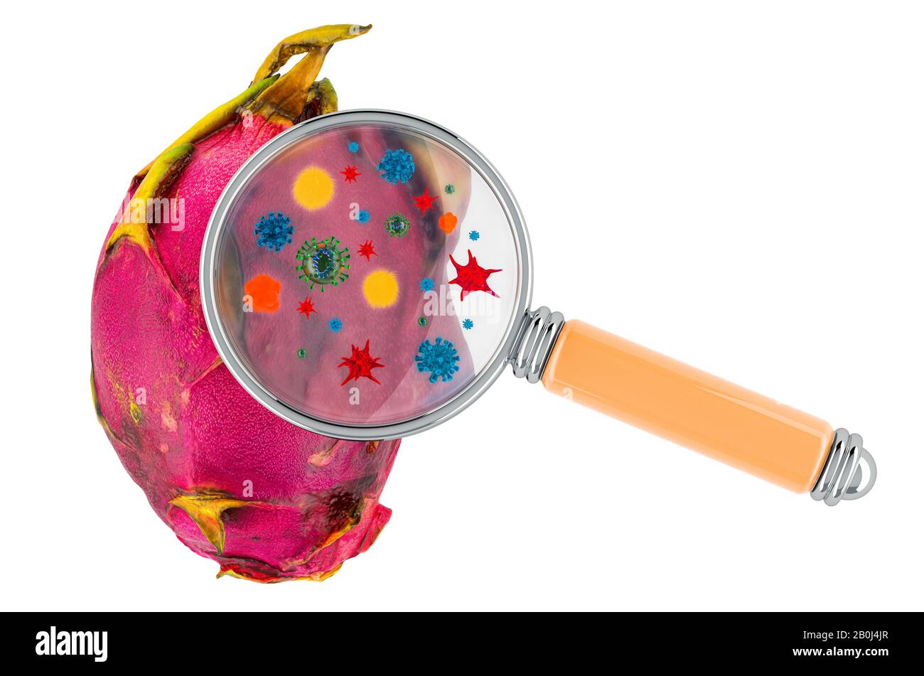 Pitaya avec germes, microbes ou virus sous loupe, rendu tridimensionnel isolé sur fond blanc Banque D'Images