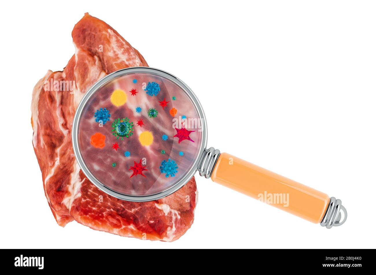 Viande de porc aux germes, microbes ou virus sous loupe, rendu tridimensionnel isolé sur fond blanc Banque D'Images