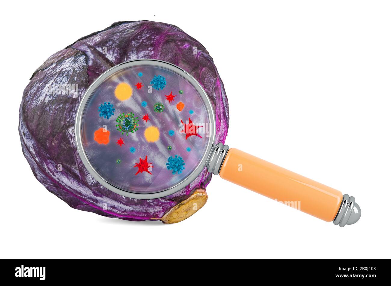 Chou violet aux germes, microbes ou virus sous loupe, rendu tridimensionnel isolé sur fond blanc Banque D'Images