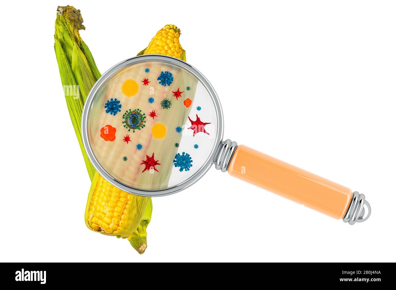 Maïs doux aux germes, microbes ou virus sous loupe, rendu tridimensionnel isolé sur fond blanc Banque D'Images