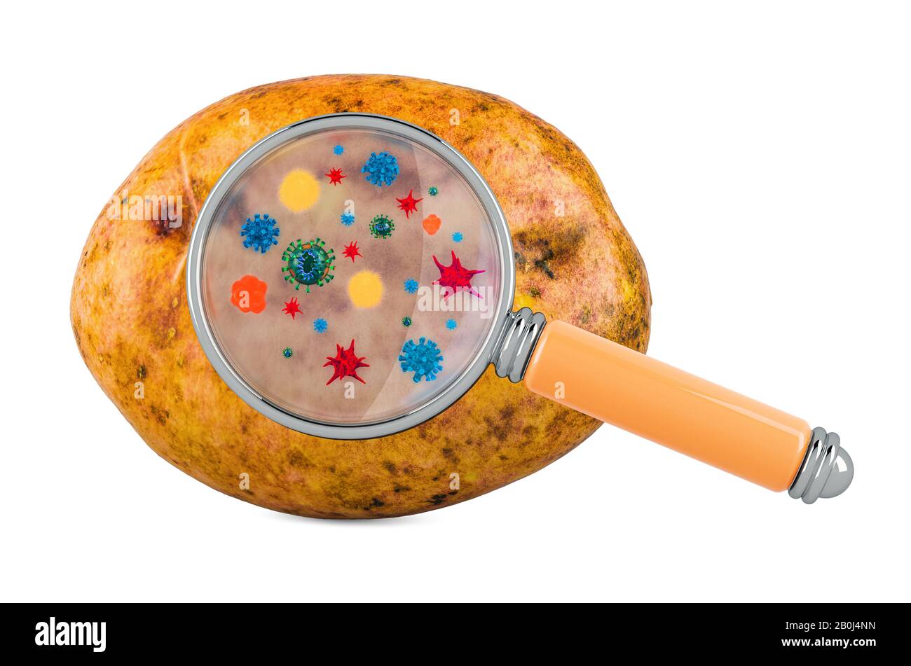 Pomme de terre aux germes, microbes ou virus sous loupe, rendu tridimensionnel isolé sur fond blanc Banque D'Images