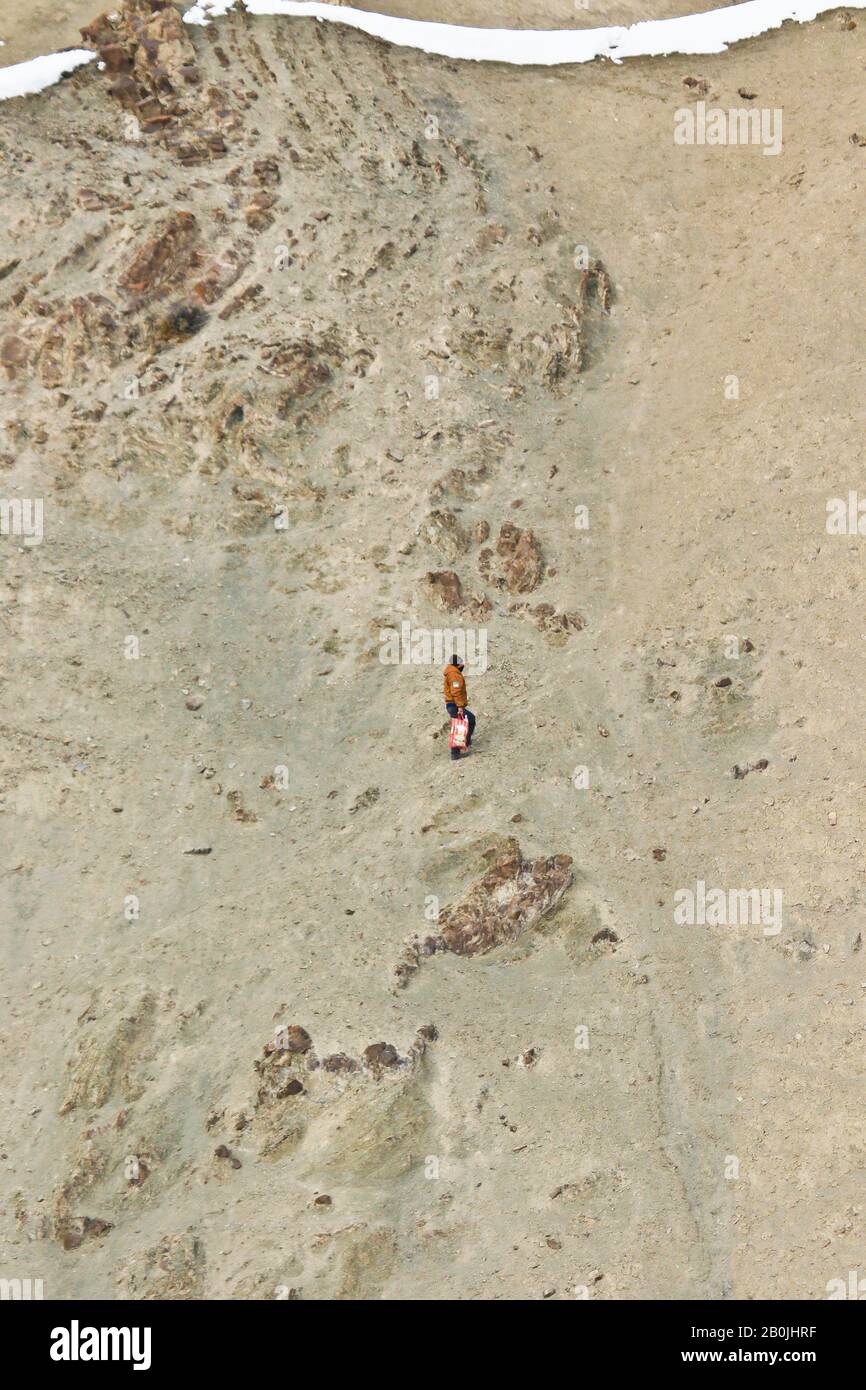 Les autochtones grimpent dans la vallée de Rumbak. Parc national de Hemis. Himalaya, Ladakh, Inde Banque D'Images