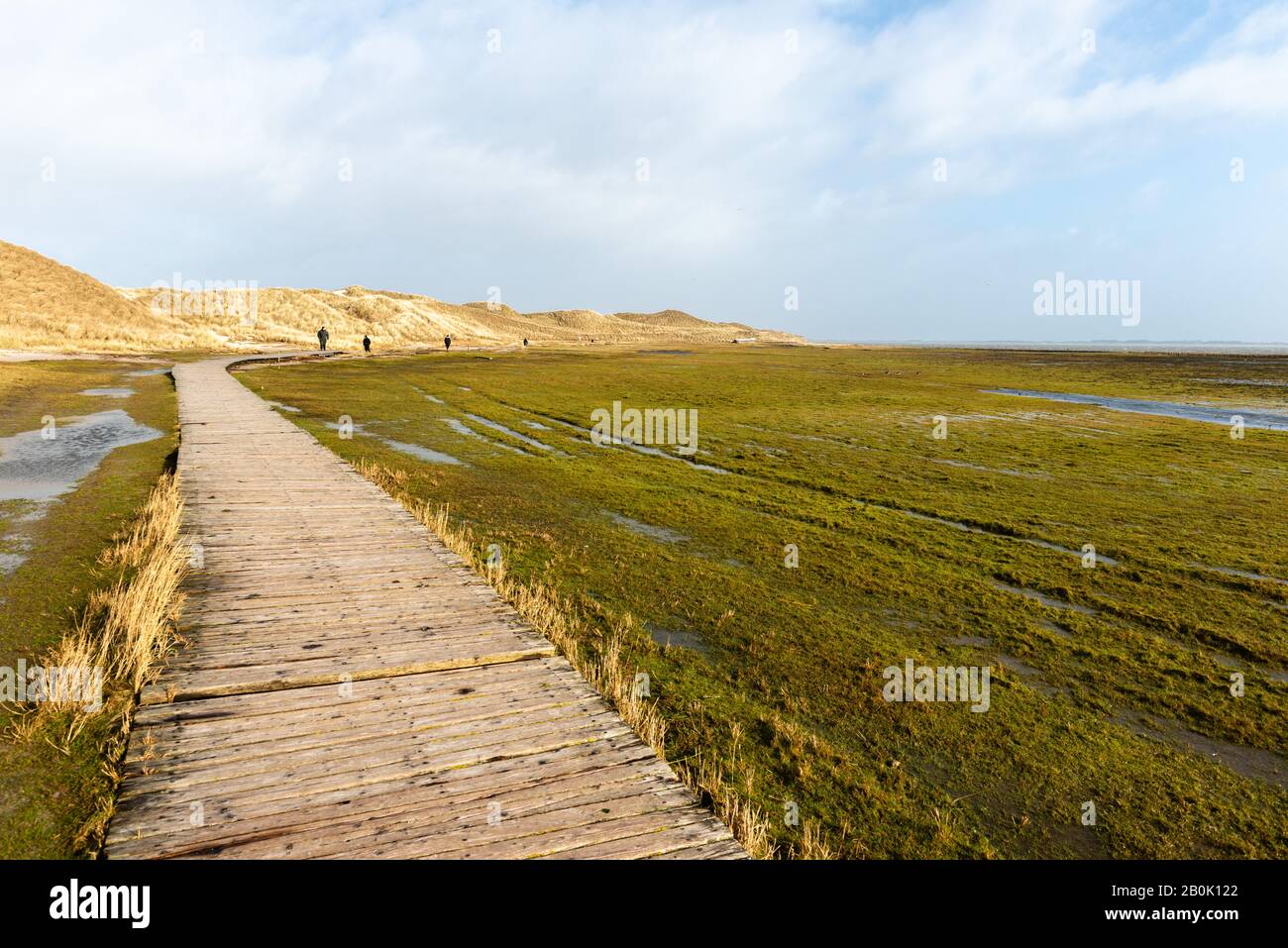 Amrum Odde, Île D'Amrum, Northsea, Patrimoine Naturel Mondial De L'Unesco, Frise Du Nord, Schleswig-Holstein, Gemany Banque D'Images