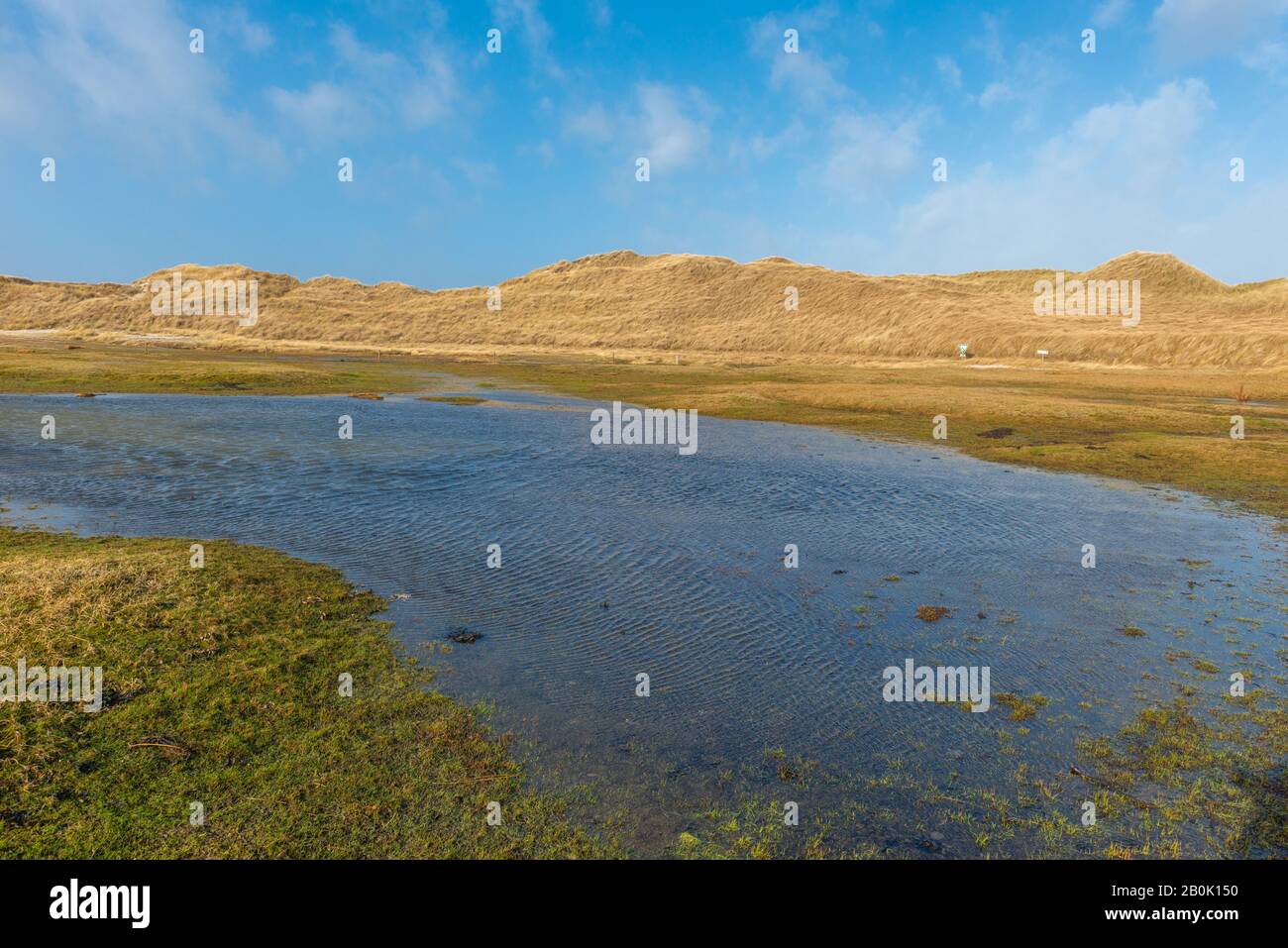 Amrum Odde, Île D'Amrum, Northsea, Patrimoine Naturel Mondial De L'Unesco, Frise Du Nord, Schleswig-Holstein, Gemany Banque D'Images