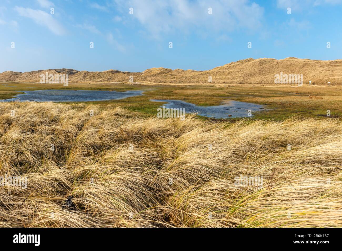 Amrum Odde, Île D'Amrum, Northsea, Patrimoine Naturel Mondial De L'Unesco, Frise Du Nord, Schleswig-Holstein, Gemany Banque D'Images